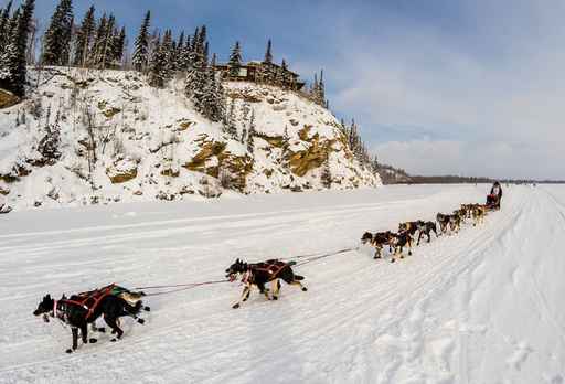 Route of Alaska dog race altered due to warm weather