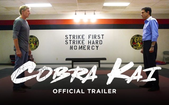 Cobra Kai – Official Trailer