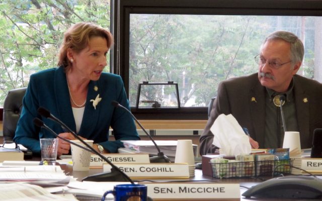 Giessel: Senate bill to propose $1,600 dividend