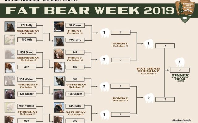Time To Vote For The Fattest!  It’s Fat Bear Week!