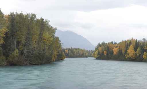 Alaska predicts low returns for Kenai River salmon this year