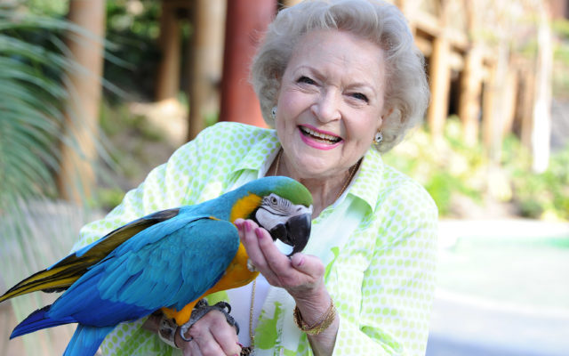 Holy Cow!  It’s her 98th Birthday!  You Go Betty White