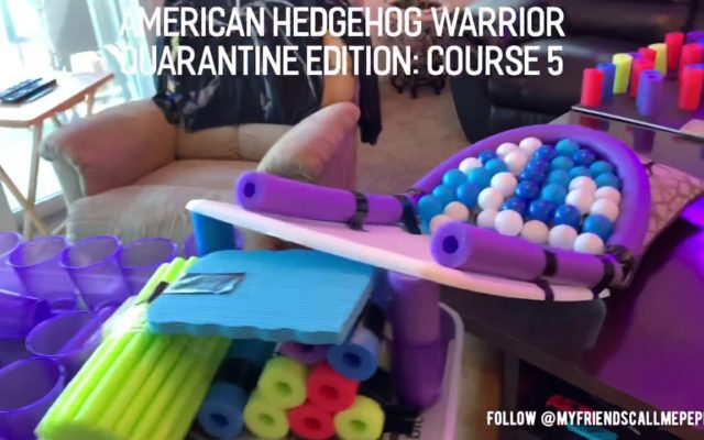 More Entertainment While You Stay Home:  American Hedgehog Warrior!