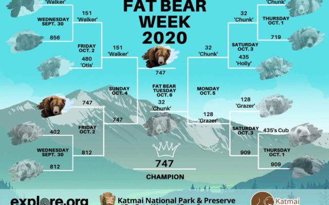 The Votes Are In!  The Winner of the 2020 Fat Bear Week Is………