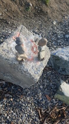 Look! Two BABY CAIRNS on the shore of Point Woronzof.  I hope they grow big and strong.