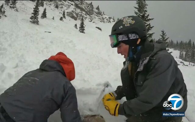 (Video) Dog Saved After Being Buried by Avalanche