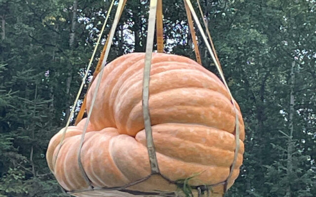 Dale Marshall Talks About His Record Setting 2,147lb Pumpkin