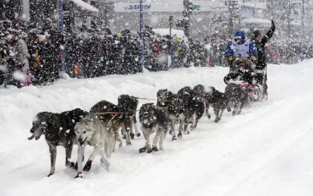 ‘A little scary’: Iditarod begins with smallest field ever