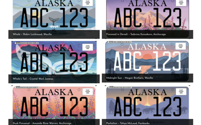 Vote For The 2023 Artistic License Plate Competition!